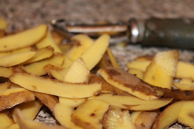 Les épluchures de pommes de terre usagées sont très bénéfiques pour les groseilles, car elles contiennent une grande quantité d'amidon.