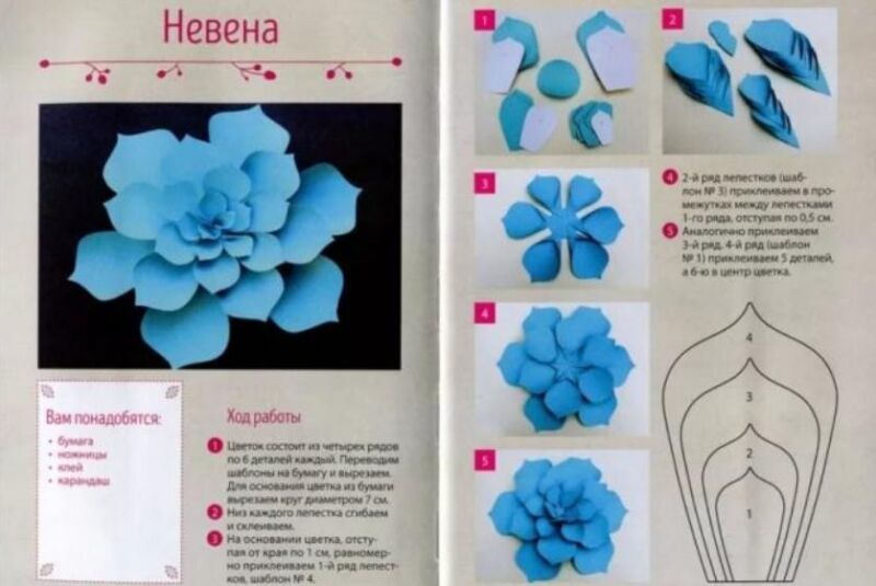Papirno cvijeće - dijagrami i predlošci za izradu papirnatog cvijeća 9. faza
