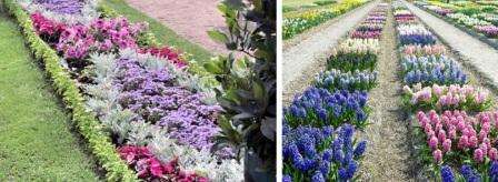 Rabatka je ravni cvjetnjak koji se sastoji od različitih biljaka. Rabatku možete postaviti u središnji dio velikog cvjetnjaka, a zatim ćete biljke morati posaditi tako da imaju atraktivan izgled s obje strane.