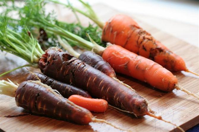 Come sbarazzarsi delle mosche delle carote senza prodotti chimici