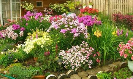 Come organizzare un giardino fiorito davanti alla casa, foto