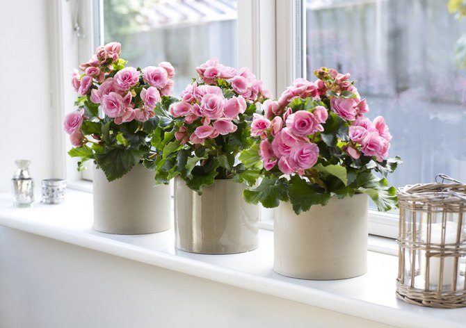 Um plantador é um recipiente decorativo sem orifícios de drenagem no qual você pode colocar o vaso de planta mais comum.