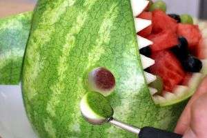 usta morskog psa lubenice