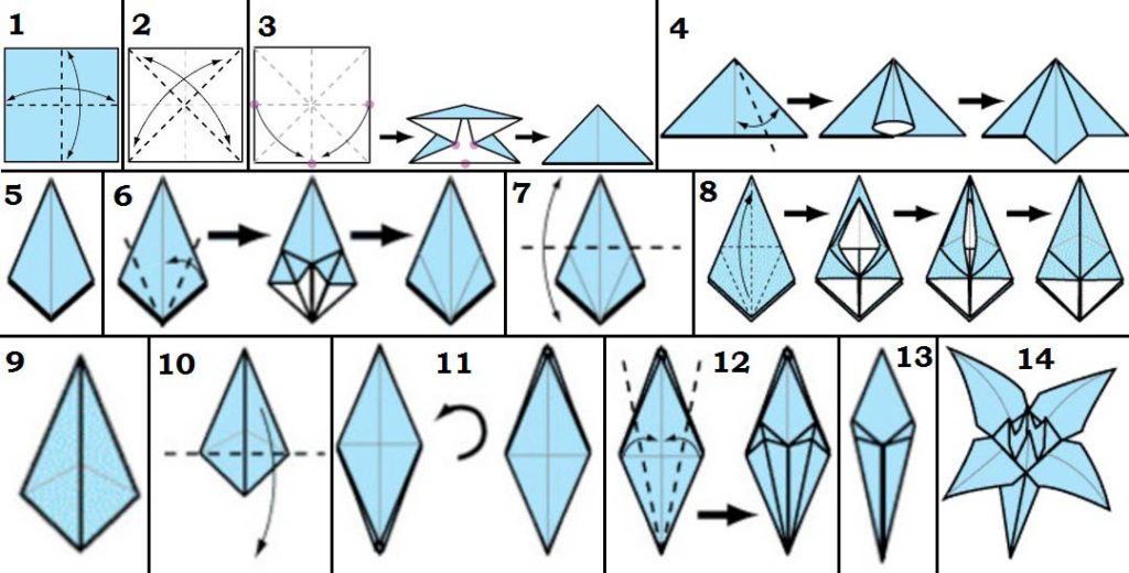 Origami de lírio