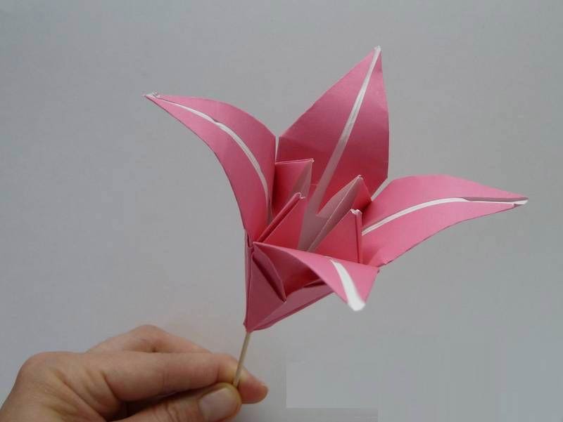 Origami de lírio