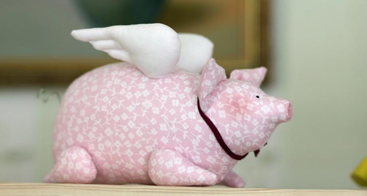 DIY fotografija svinje
