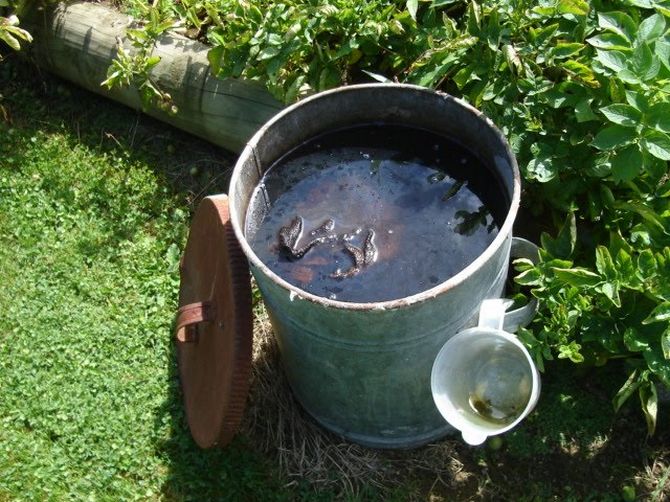 Kako napraviti čaj od komposta bez pumpe ili kompresora