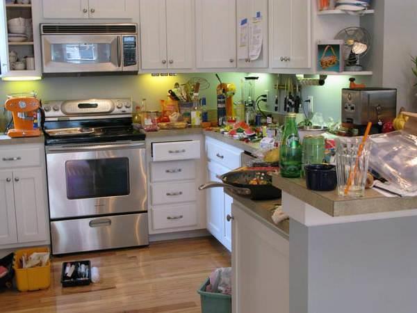 Kuchyňa, ktorá nie je vyčistená včas, je skvelým miestom na sviatok nezvaných hostí v neprítomnosti majiteľov domu