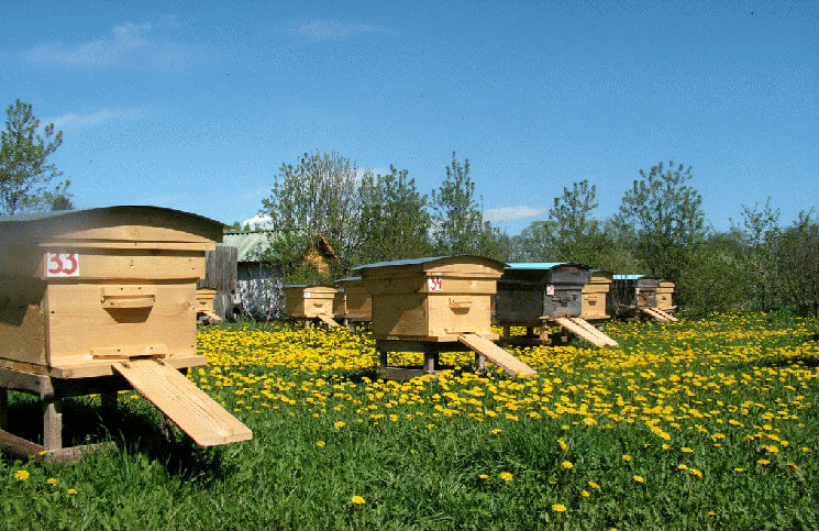 Kvalitetni proizvodi za pčelare od pouzdanog dobavljača