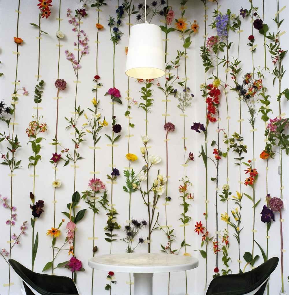 Puteți decora un perete gol temporar într-un interior ușor cu perdele neobișnuite din fire din muguri de flori. O astfel de decorare va reînvia orice interior obișnuit.