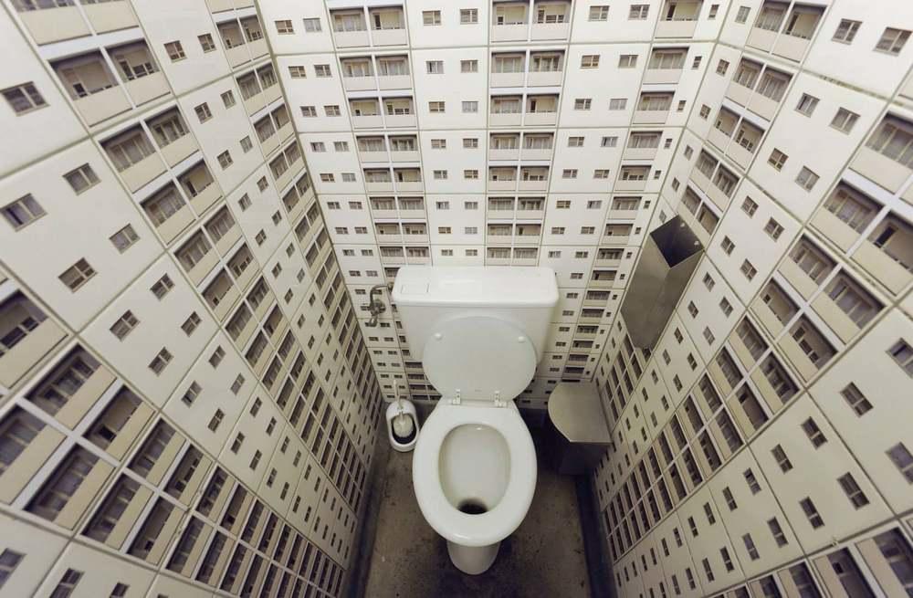 Tack vare den enorma typen av tapeter för toaletten kommer du inte att ha några problem med valet.