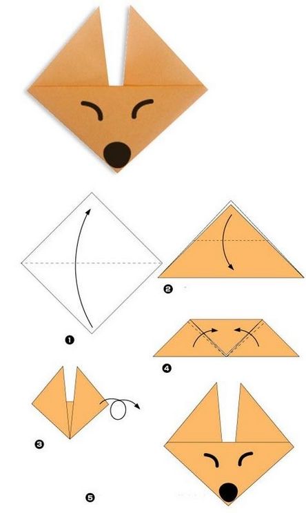 Origami volpe per 5 anni