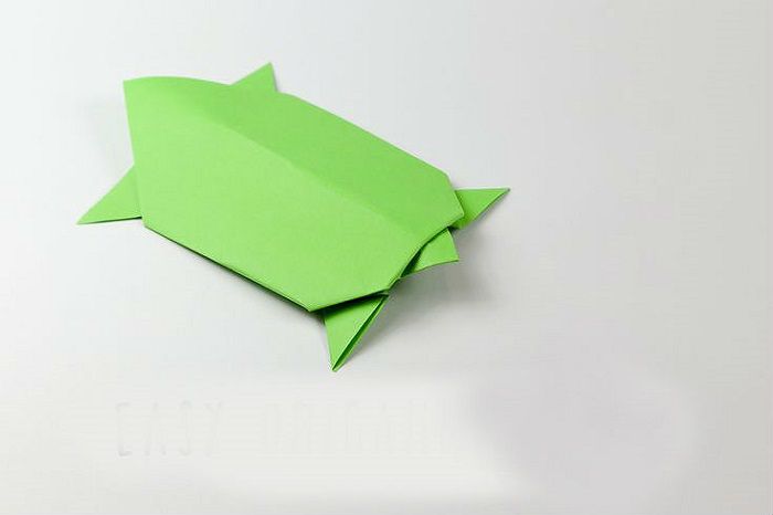 Origami tartaruga
