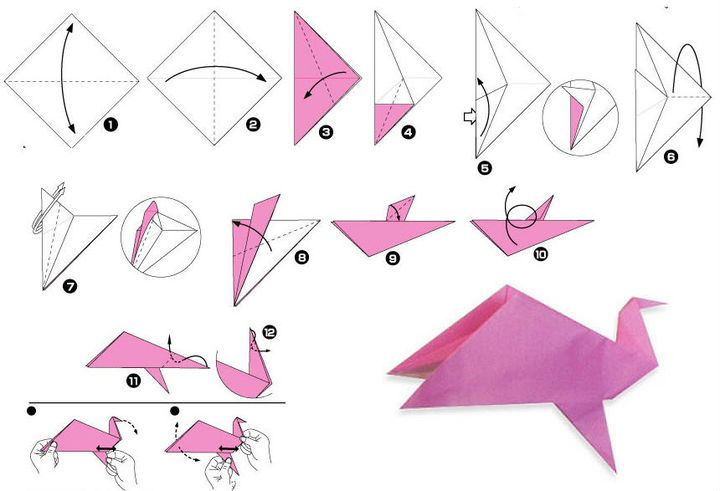 Assemblage pas à pas d'un pigeon en origami