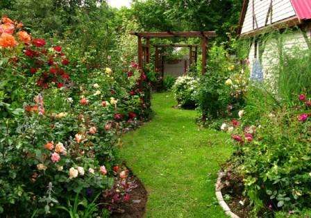 Dans presque toutes les compositions de conception de jardin, vous pouvez inclure des plantes qui seront les compagnes des roses.