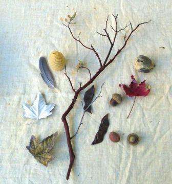 artesanato infantil sobre o outono com material natural
