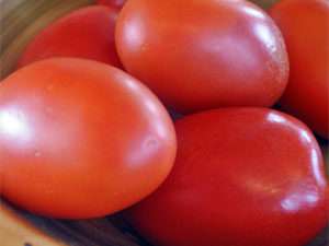 Također je važno provesti nekoliko puta mineralno gnojenje rajčice 